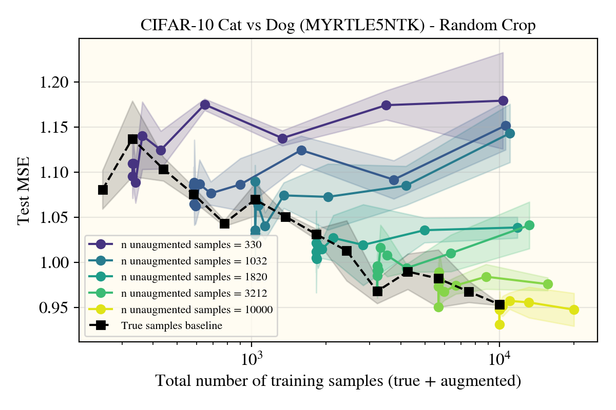 Myrtle5NTK Cat Vs Dog with Cropping