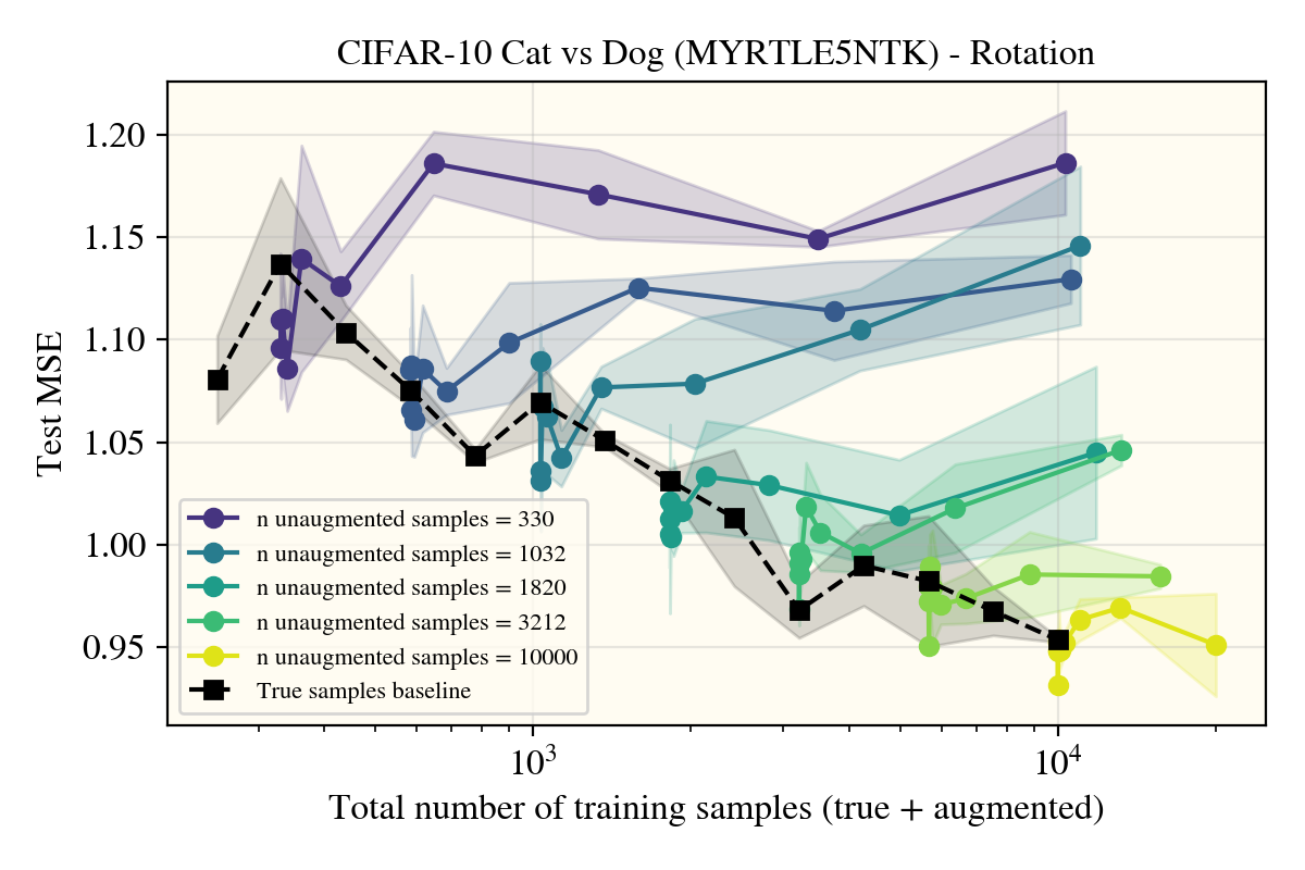 ConvNTK on Cat vs Dog with Rotations