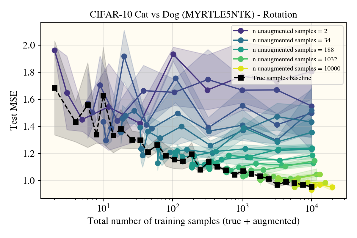 Mytyle5NTK Rotation Learning Curve
